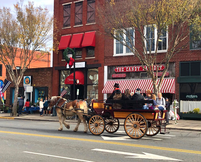 Uptown Lexington - Horse-Drawn Carriage Ride